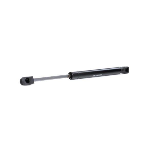 køb RIDEX (219G0653) Bagklapsdæmper
