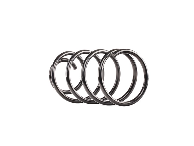 RIDEX 188C0607 Ressort de suspension arrière et avant Ford C Max 2