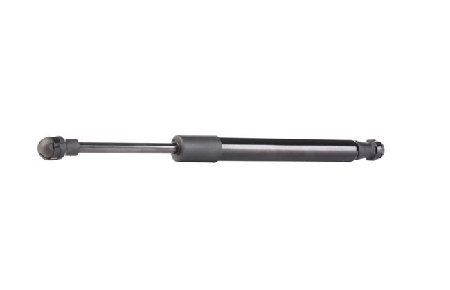 køb RIDEX (219G0755) Bagklapsdæmper