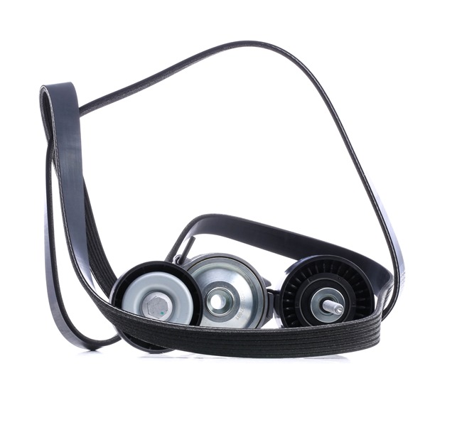 RIDEX 542R0046 Serpentine belt VOLVO S80 II (124) 2.0 TDi 136 hp Diesel 2009