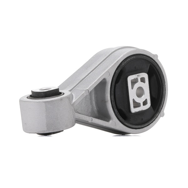 Motorkudde 247E0147 RIDEX FORD Transit Connect Mk1 Skåpbil 1.8 TDCi 2006 110 hk