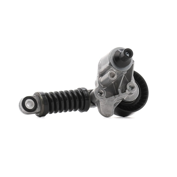 VKM36070 SKF tensioner pulley
