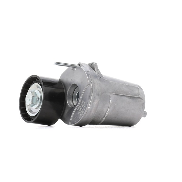 VKM 38339 SKF tensioner pulley price £ 42,16