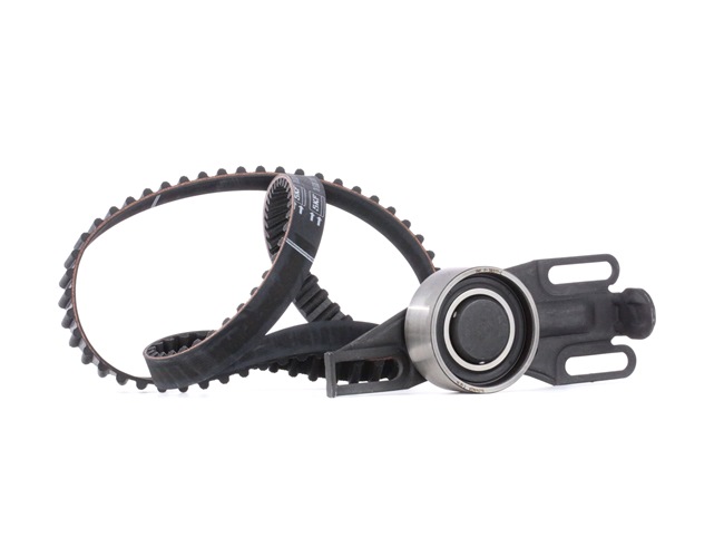 comprar SKF (VKMA 03200) Jogo de correias dentadas