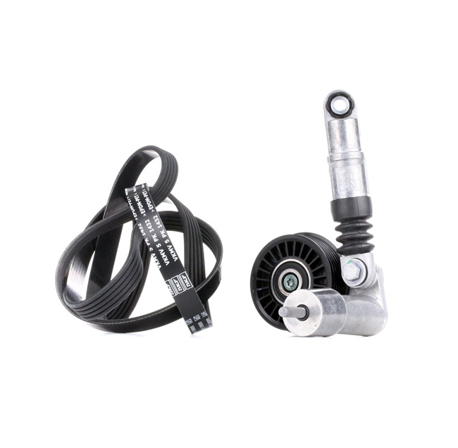 SKF | Keilrippenriemensatz VKMA 31000 VW Passat B5 GP Variant (3BG, 3B6) 2001 günstig online