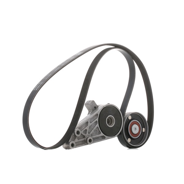 SKF | Keilrippenriemensatz VKMA 31034 VW Passat B5 GP Variant (3BG, 3B6) 2004 günstig online