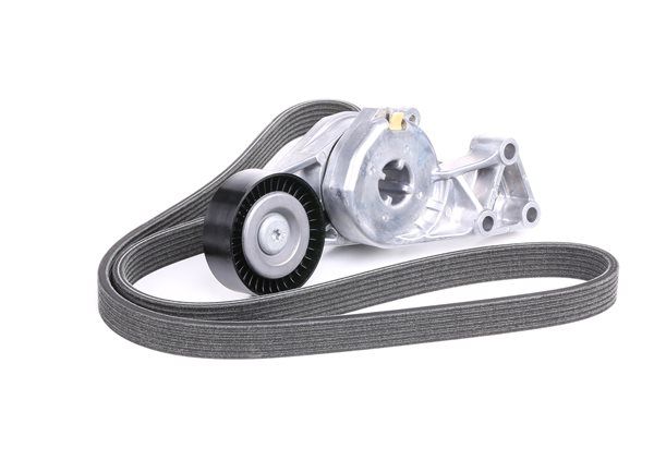 SKF | Kit Cinghie Poly-V VKMA 31204 Volkswagen Golf IV Hatchback (1J1) 2005 economici online