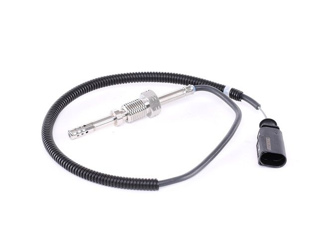 Temperaturgeber 3938E0110 RIDEX VW Multivan T5 (7HM, 7HN, 7HF, 7EF, 7EM, 7EN) 1.9 TDI 2007 102 PS