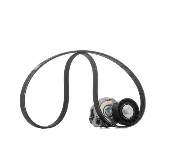 Keilrippenriemensatz VKMA 36244 SKF VOLVO S80 II (AS, 124) 2.4 D5 AWD 2014 215 PS