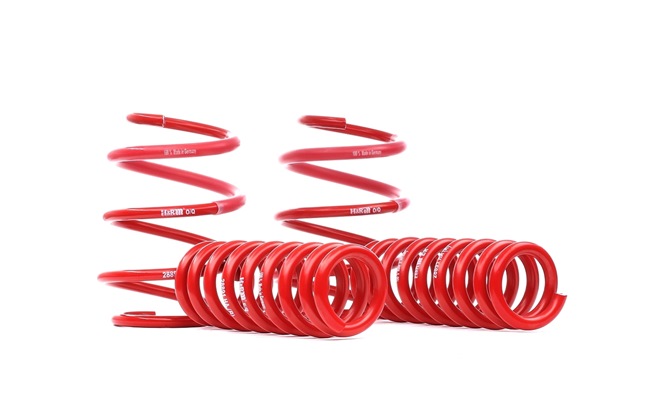 H&R 28891-1 BMW F20 spring kit replacement cost
