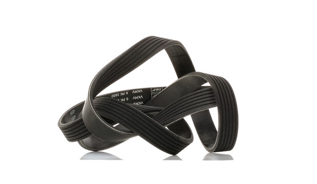 SKF VKMV 6PK1600 Serpentine belt OPEL Corsa C Hatchback (X01) 1.7 CDTI 100 hp Diesel 2003