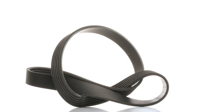 Keilrippenriemen (VKMV 6PK966) von SKF einkaufen