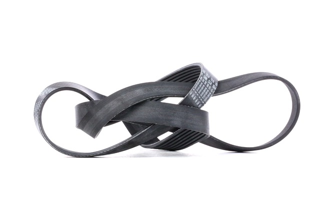 Correia trapezoidal estriada VKMV 7PK1855 SKF BMW 1 Coupe (E82) 135i 3.0 2008 306 cv