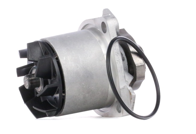 comprar SKF (VKPC 81611) Bomba de água