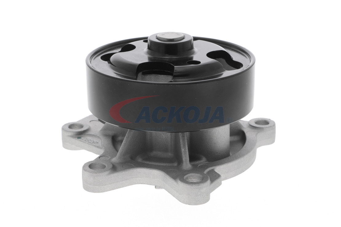 OEM-Nummer B1 01 0EN 20B - Wasserpumpe A38-0701 RENAULT, NISSAN, ALFA ROMEO, DACIA, INFINITI