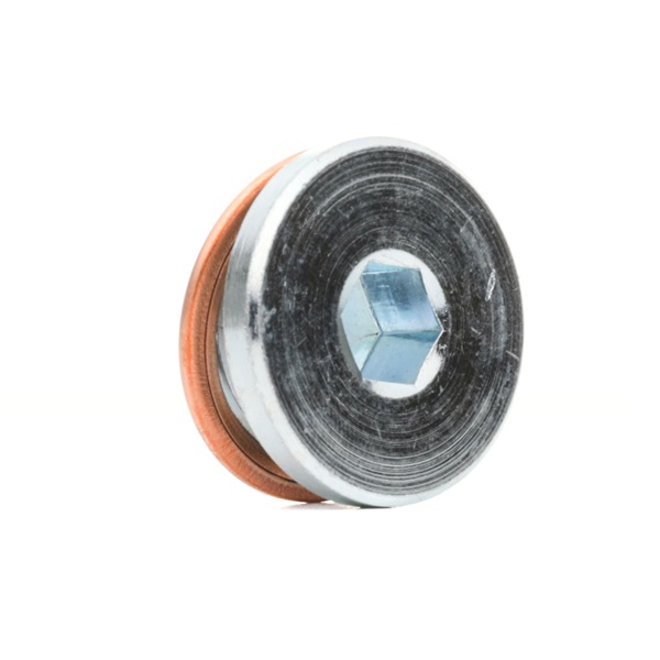 ELRING 878.100 sump plug AUDI A4 B6/B7 Convertible (8H7, 8HE) S4 quattro 344hp 2005