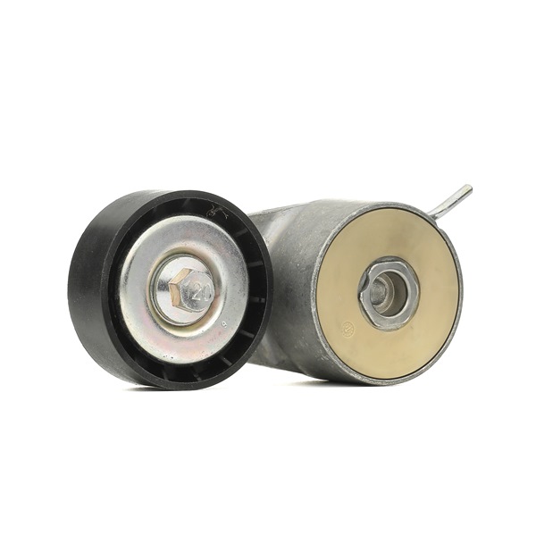 BOSCH Tendeur courroie accessoire 1 987 945 835 37,03 € acheter en ligne