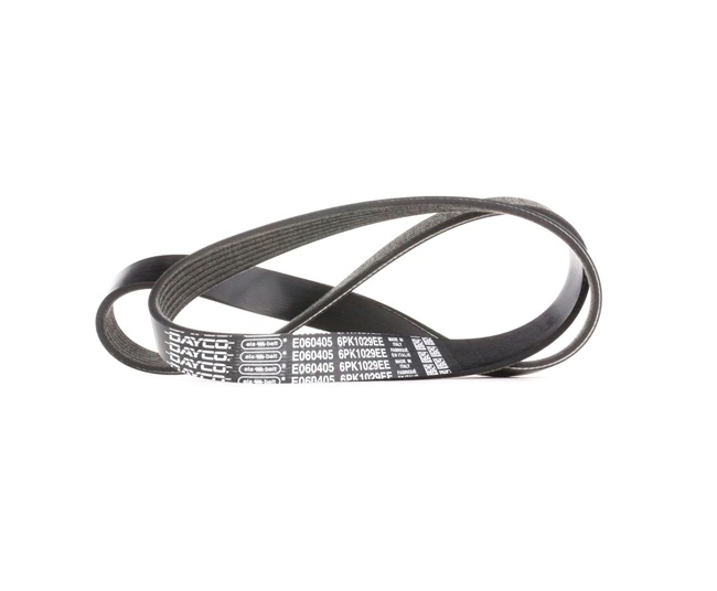DAYCO 6PK1029EE serpentine belt FORD Fiesta Mk6 Hatchback (JA8, JR8) 1.4 LPG 92hp 2014