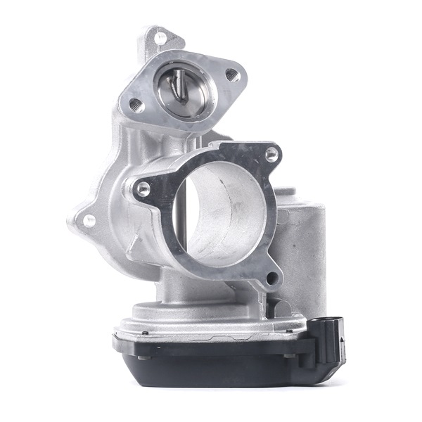 kupić online DELPHI EGR EG10404-12B1 Audi 414,78 PLN