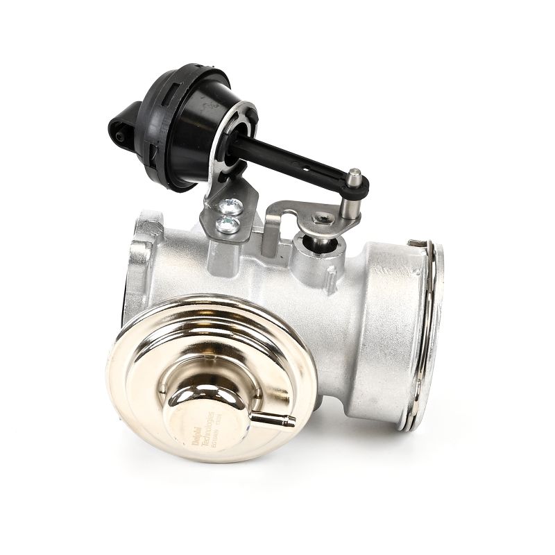 DELPHI Uitlaatgasregelingsklep EG10409-12B1 70,44 € order online