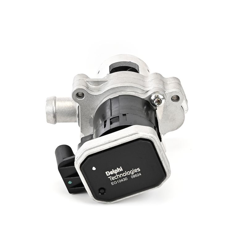 DELPHI Uitlaatgasrecirculatie Electrisch EG10430-12B1 169,63 € order online