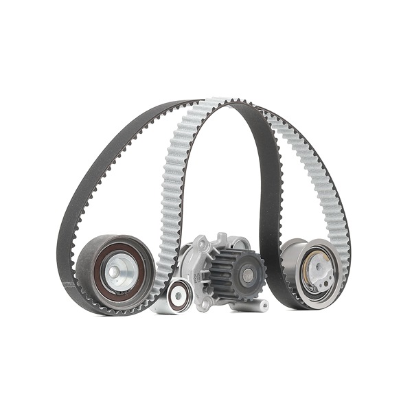 Tandremssæt med vandpumpe 132011160068 MAGNETI MARELLI VW Golf V Variant (1K5) 2.0 TDI 2007 136 HK