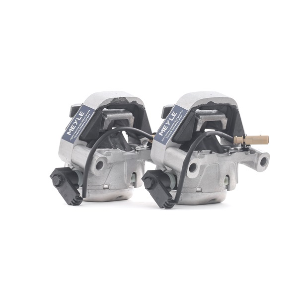 MEYLE 100 199 3103/S Motorlager Audi A6 C7 Avant