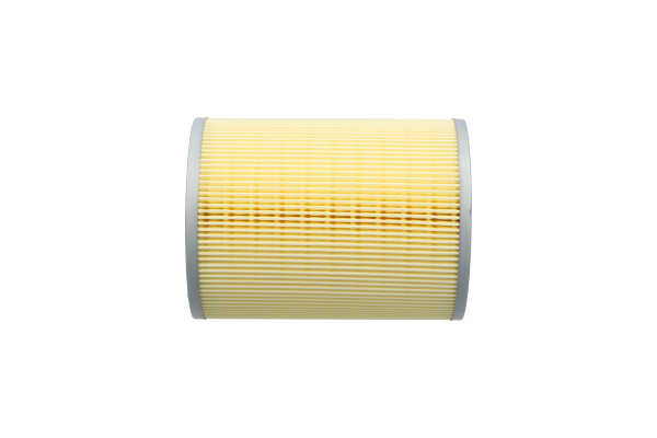 Número OEM 16546-G9900 - Filtro de aire NA-266 NISSAN