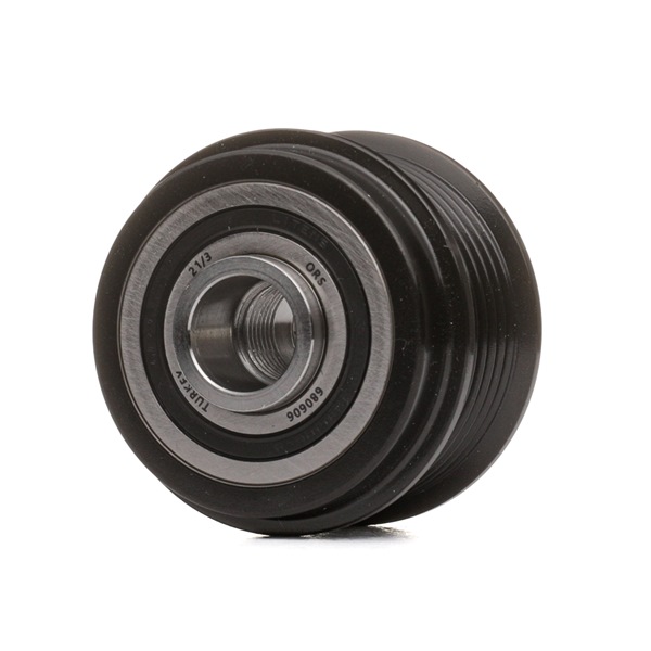 Dynamo poelie 535 0310 10 INA FORD Transit Mk7 Flatbed Vrachtwagen / Chassis (V363) 2.0 EcoBlue mHEV 2021 170 Pk
