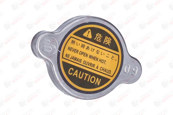 Radiateurdop 80427 BIRTH MITSUBISHI Outlander II SUV (CW_W) 2.2 DI-D 4WD 2007 156 Pk