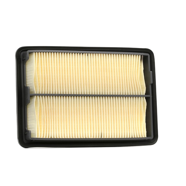 order FILTRON (AP 124/2) Air filter