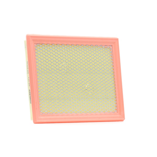 AP 154 FILTRON 1654673C10 Air filter