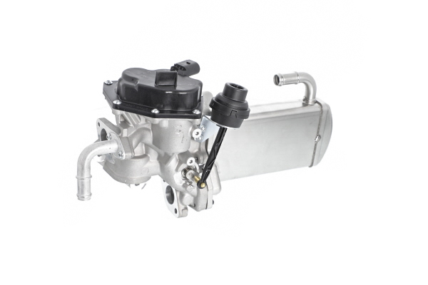 Numero OEM 03L 131 512 CC - Radiatore EGR 117 516 AUDI, SEAT, SKODA