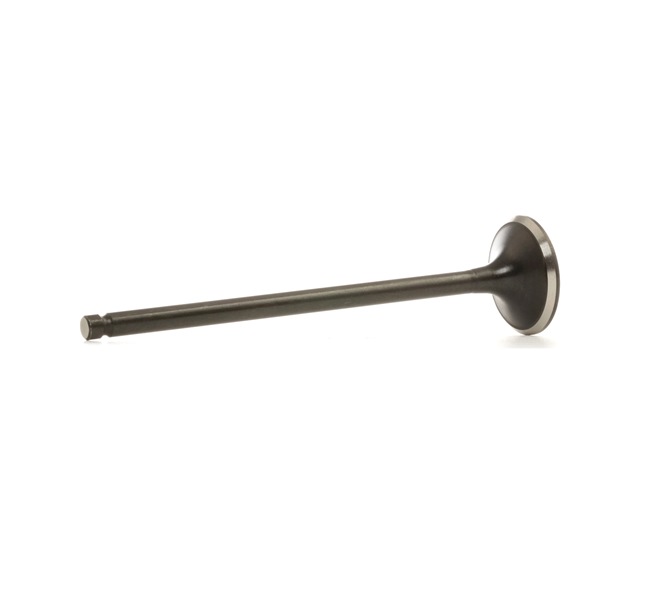 Numer OEM 13202-ED00C - Zawór wydechowy 5790000000 NISSAN, INFINITI