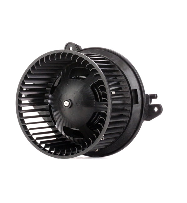 RIDEX Lüftermotor 2669I0124 Citroen 55,14 CHF online einkaufen