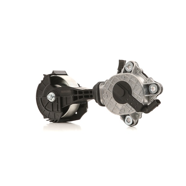Tensor de correia, correia trapezoidal estriada 541V0045 RIDEX CITROËN C3 II (SC) 1.4 VTi 2009 98 cv