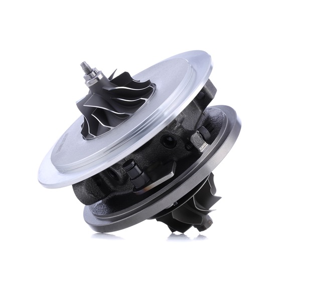 Kjernegruppe, lader 4973C0021 RIDEX TOYOTA RAV4 II SUV (XA20) 2.0 D 4WD (CLA20_, CLA21_) 2002 116 hk