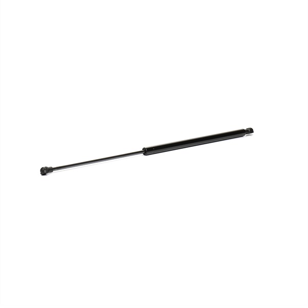 RIDEX (219G0880) Heckklappendämpfer bestellen