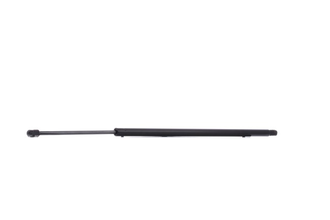 Karosseri Comanche: Bagklapsdæmper RIDEX 219G0899