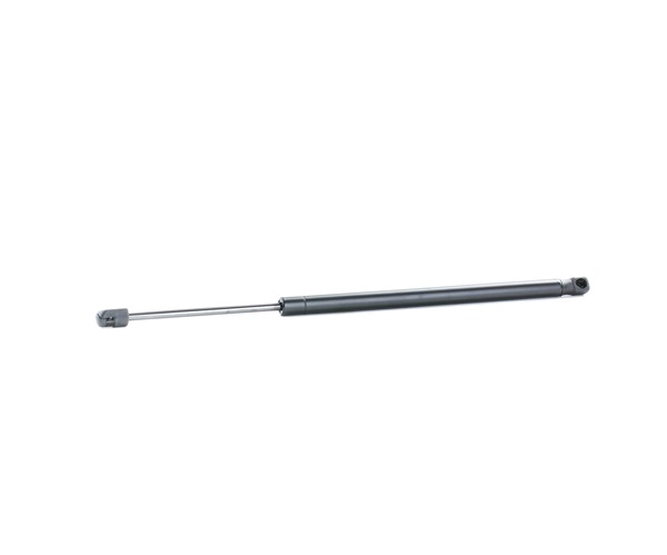 514G0136 RIDEX 420827552 Bonnet strut