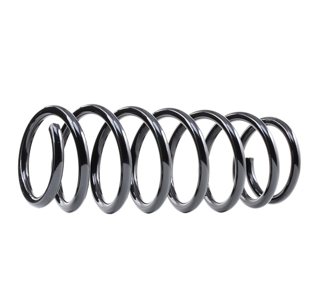 order RIDEX (188C0639) Chassisveer