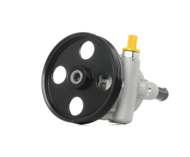 RIDEX | Elektrische stuurpomp Hydraulisch 12H0163 RENAULT Clio II Hatchback (BB, CB) 2007 goedkoop online