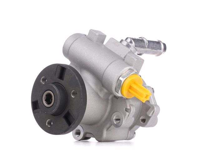 kopen online RIDEX Hydraulische pomp, besturing 12H0169 BMW 100,84 €