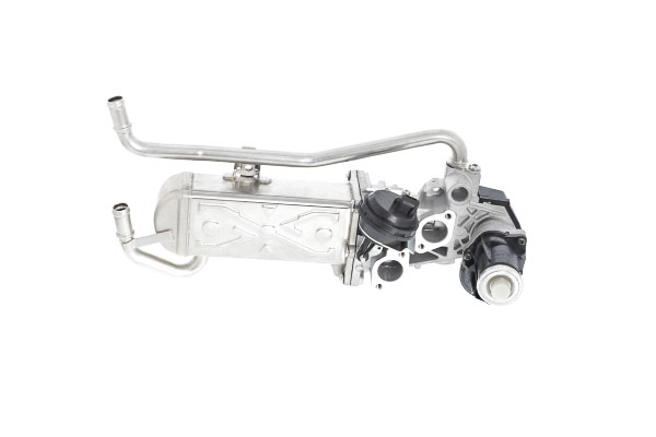 Numero OEM 03P 131 512 C - Radiatore EGR 117 502 AUDI, SEAT, SKODA