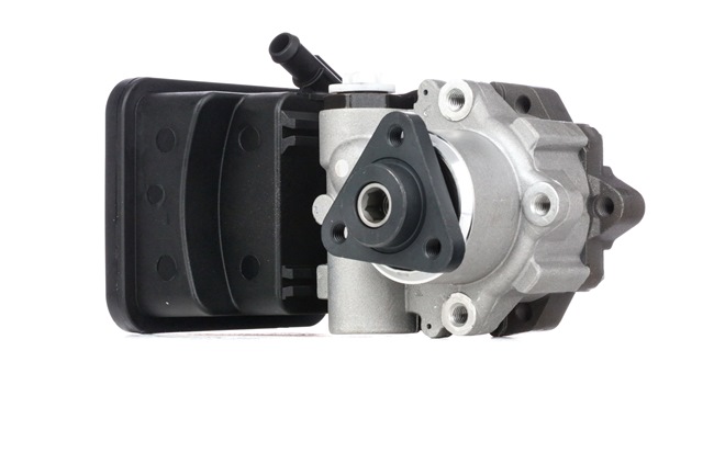 kopen online RIDEX Hydraulische pomp 12H0176 BMW 91,45 €