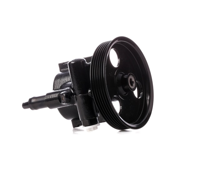 Bomba de direção 12H0191 RIDEX OPEL Vivaro A Combi (X83) 2.5 CDTI (F7, J7, A07) 2013 146 cv