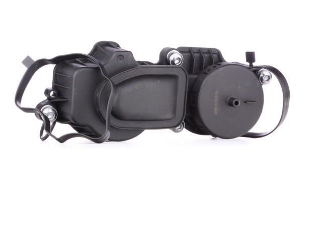 acheter en ligne RIDEX Durite de reniflard d'huile 3886V0015 BMW 25,83 €