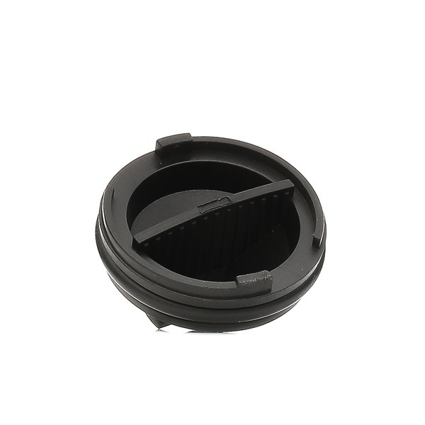 OEM nummer DS7Q-6730-AA - Urtappningsskruv, växellåda 106566 AUDI, FORD, FORD USA
