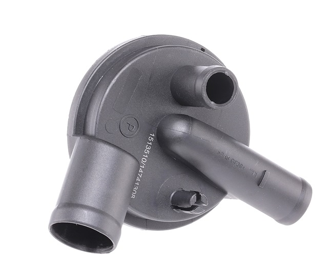 RIDEX 3886V0018 Soupape, dégazage du carter Seat Cordoba 6K5