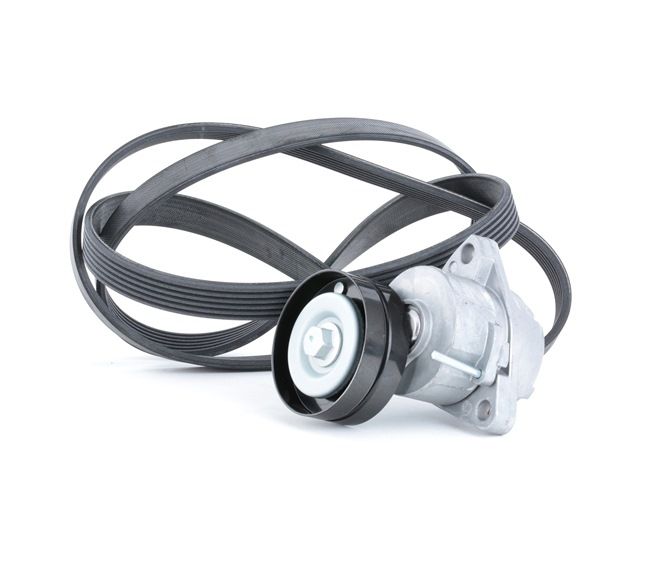 Jogo de correias trapezoidais estriadas 542R0050 RIDEX OPEL Astra F Caravan (T92) 1.6 i (F35, M35) 1996 71 cv